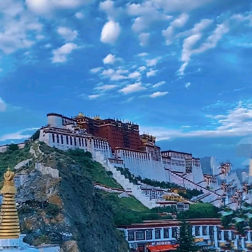 酒门提督