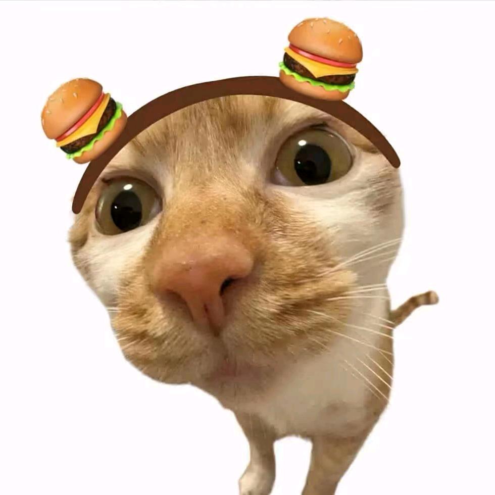 小Z