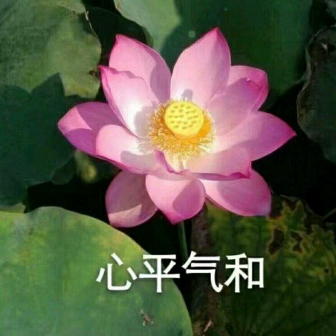 bug正在修复中