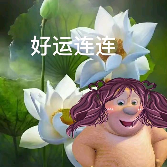 贝多金