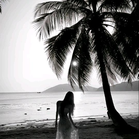 .i