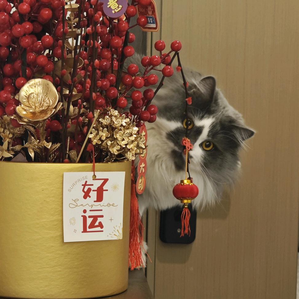 当坚冰还盖着北海的时候