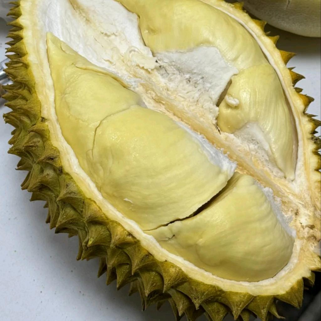 果妞铺子