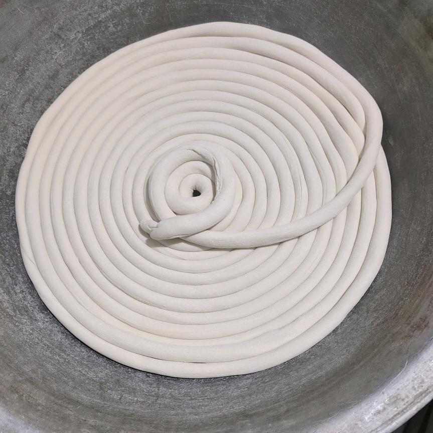 明天更好🐯🐅