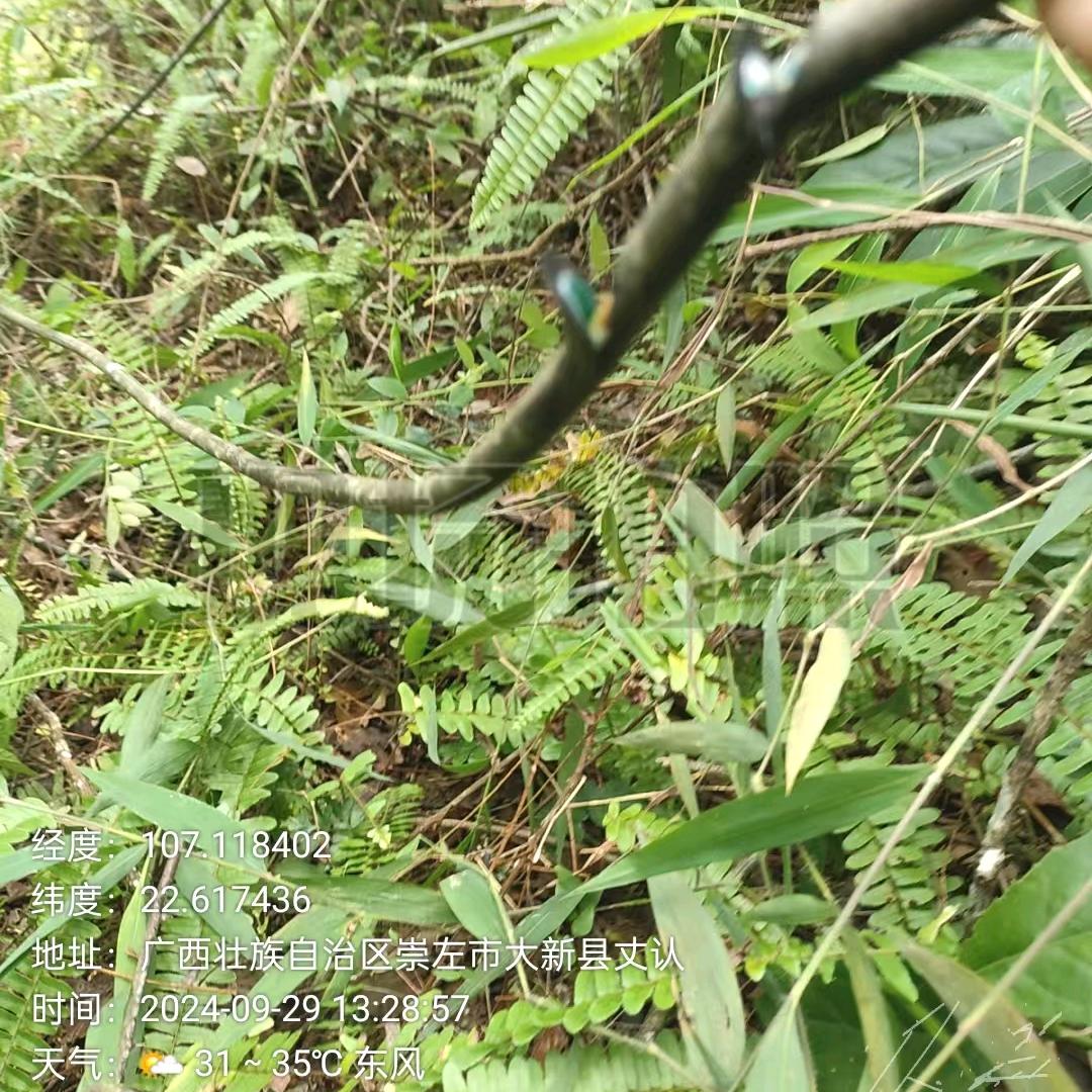 何必问