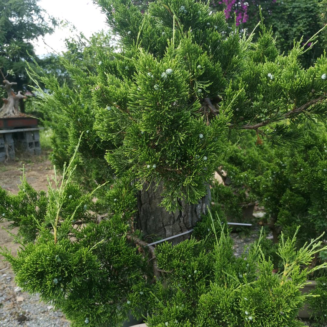 💖ℒℴѵℯ℘࿐·¹³¹⁴㦌ృ༊馫