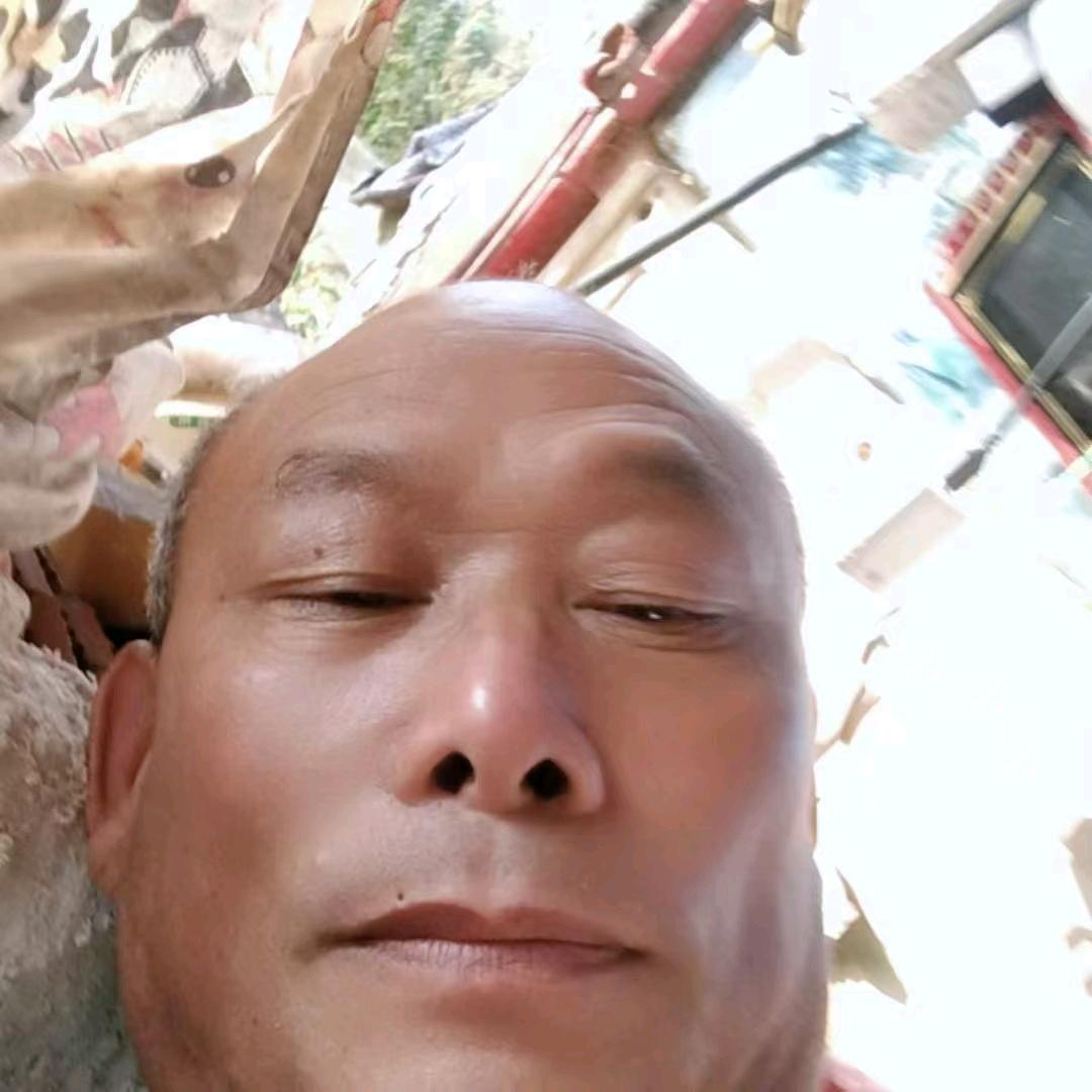 鲁新林