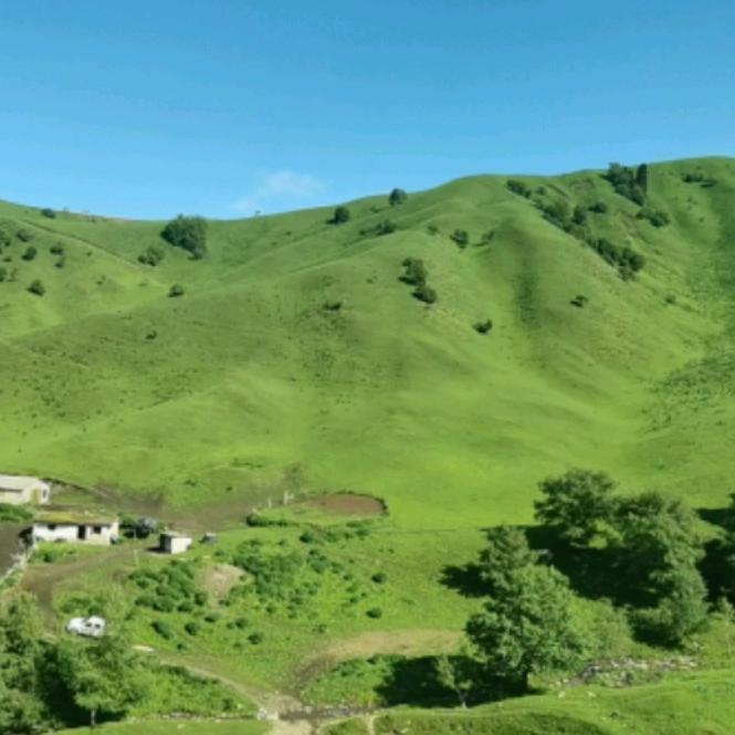 虚无（爱拍照版）