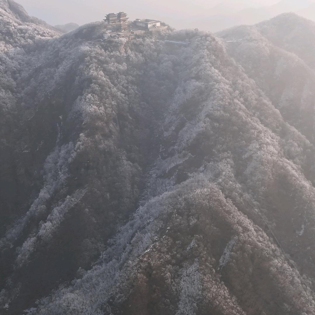 真磕搀