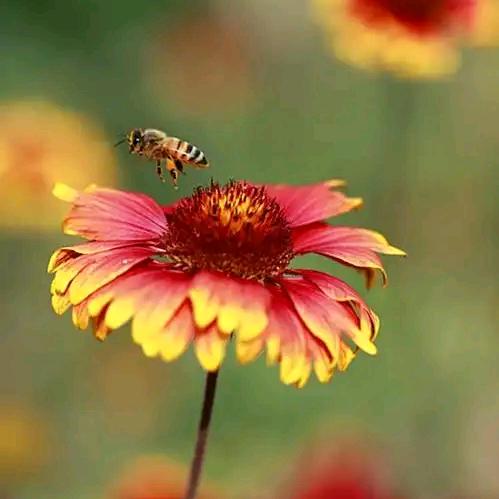 衣服破说啥都是错