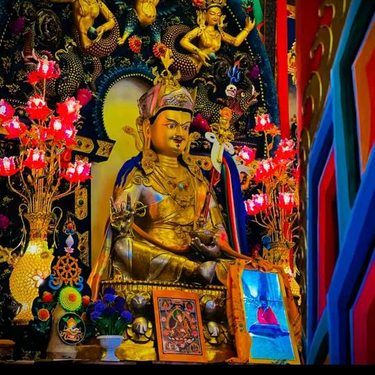 🍓拉孜次旦旺久🍓