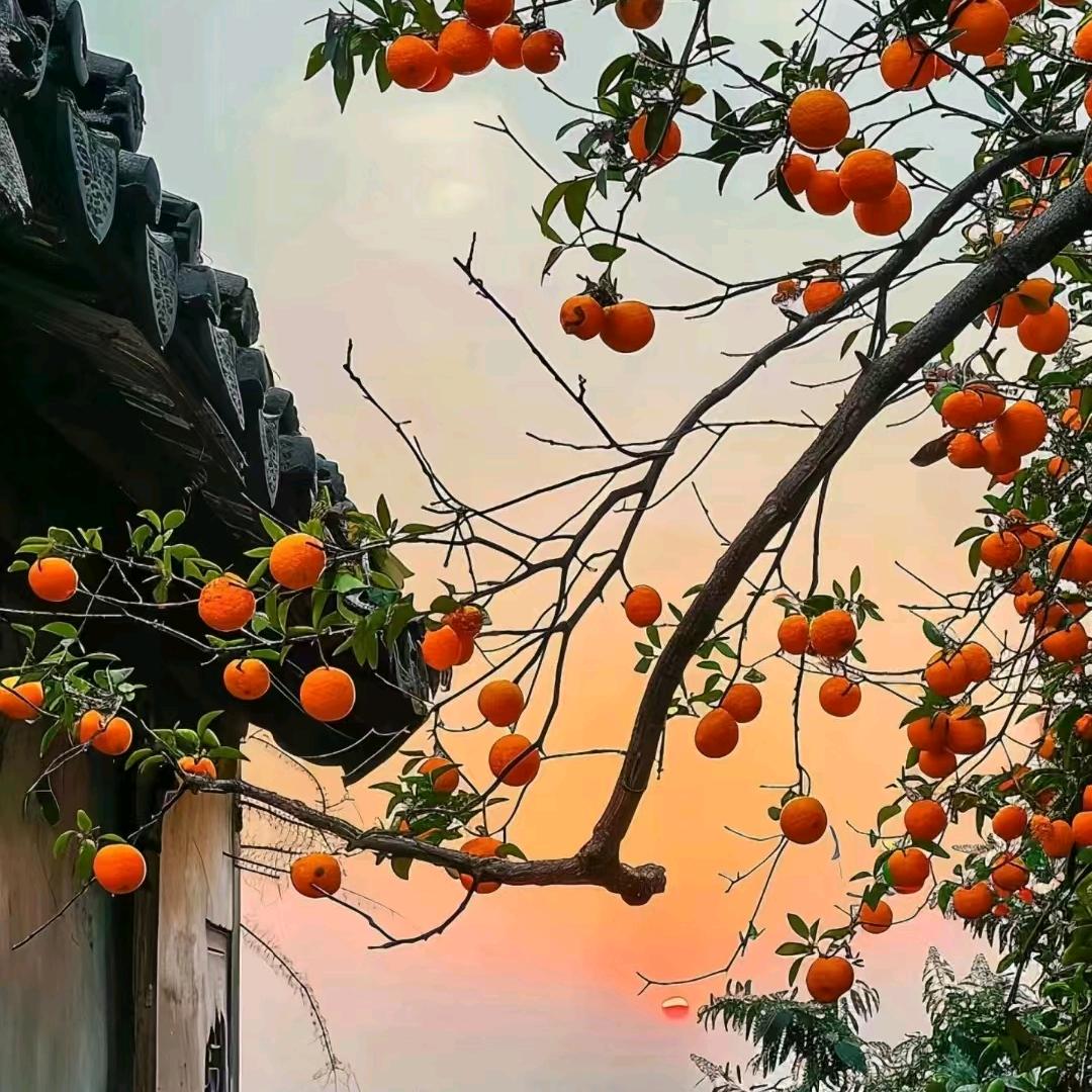 ᰔᩚ゛.平安᭄এ