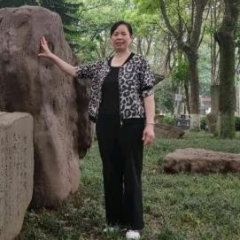 温柔的羊，寻缘