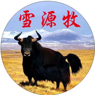 雪源牧精品草膘牛羊肉