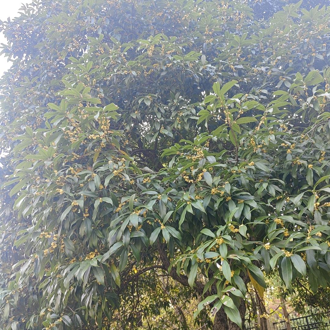 长沙芙蓉南路天虹店