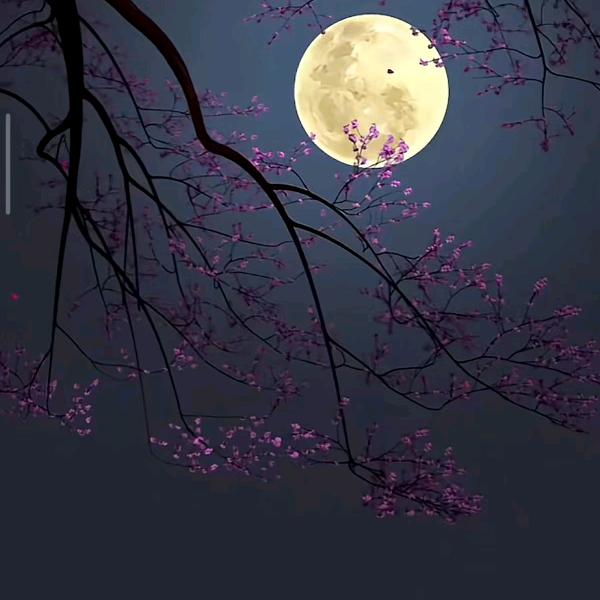 🇨🇳云淡风轻🇨🇳