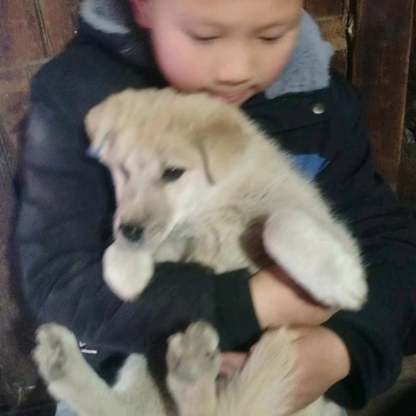 一家人幸福到永远