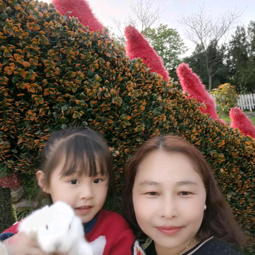 用户3758599074521梅