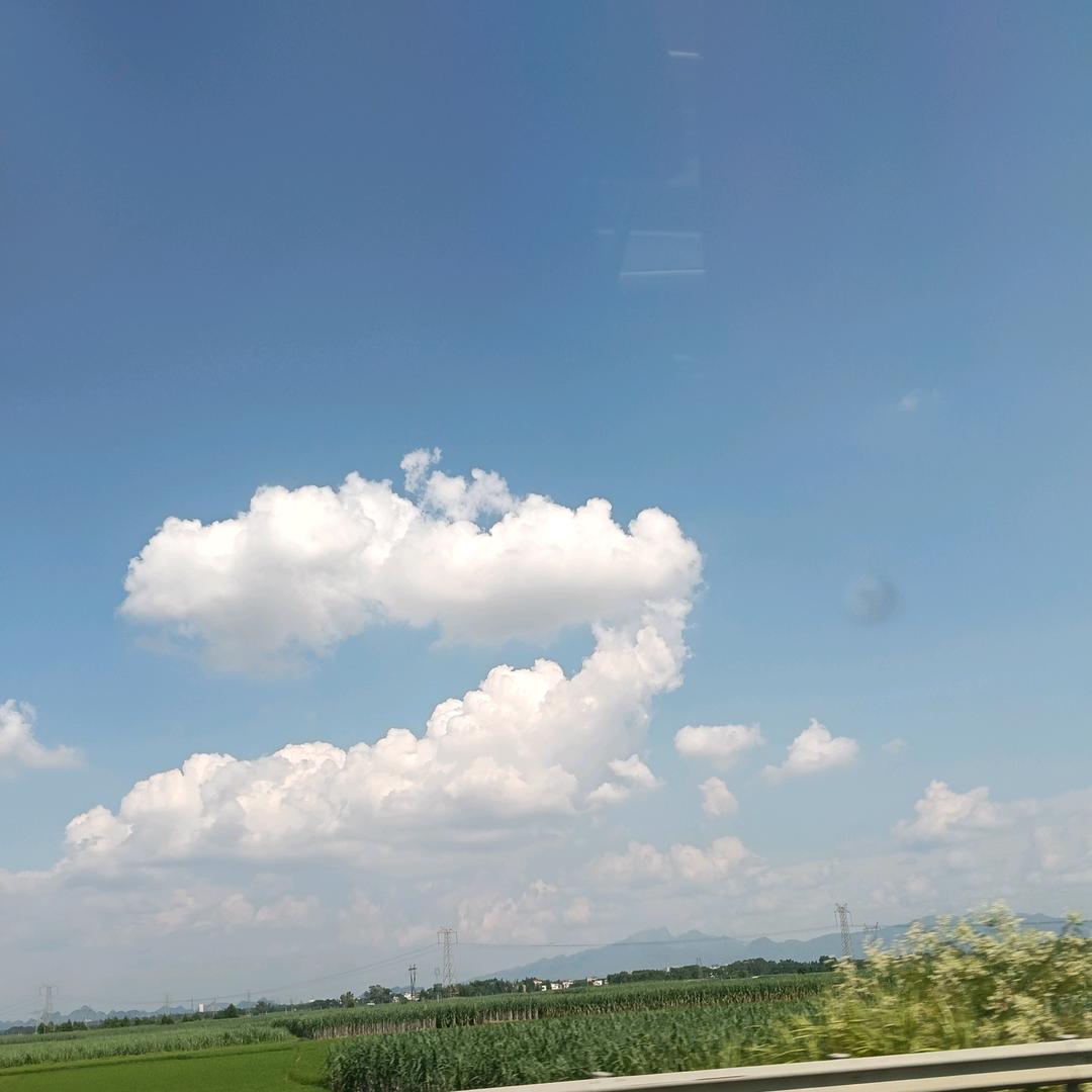 麗麗