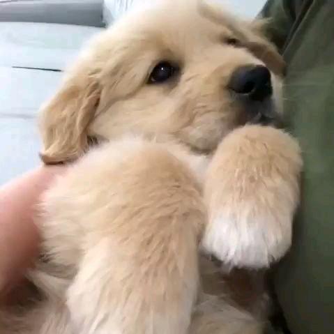 万事如意