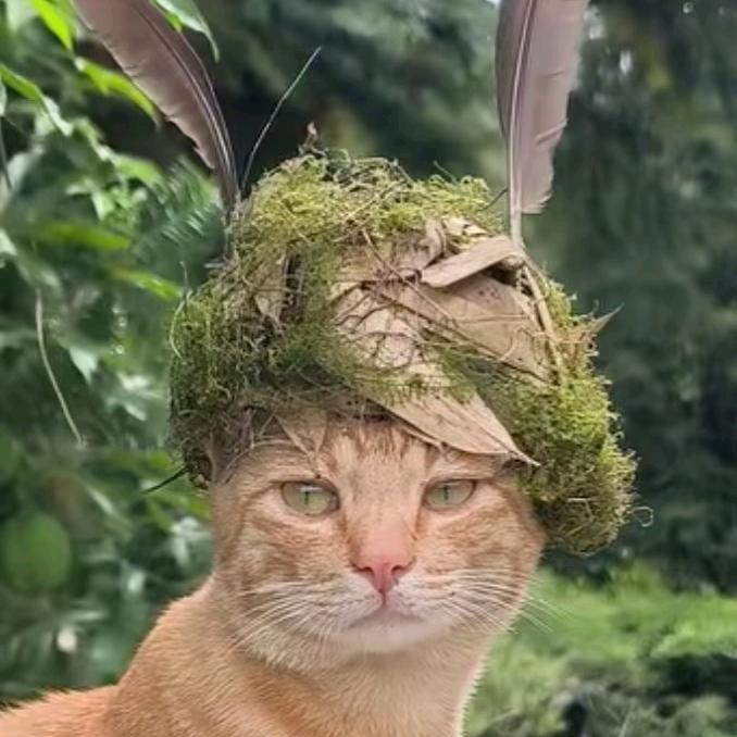 我脑袋不灵光