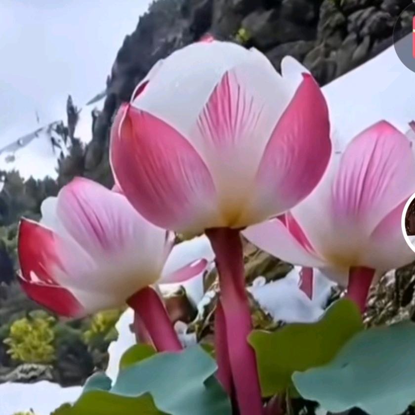 我敬自己一杯酒