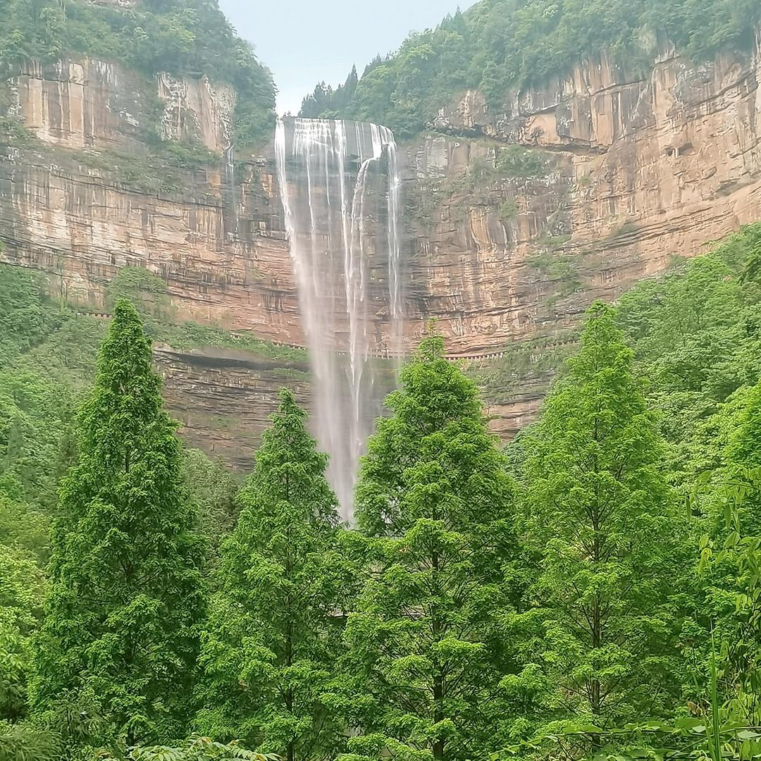 @随心所欲@