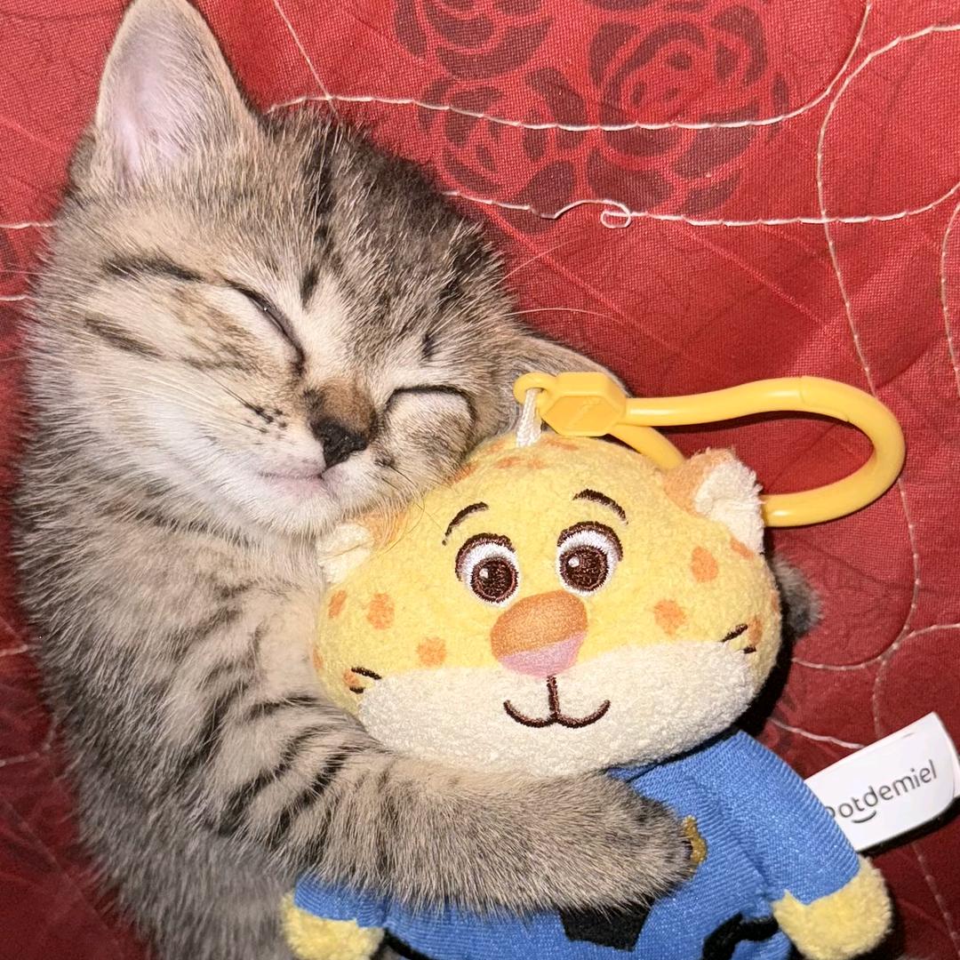 白日做梦梦偏白(种地版)