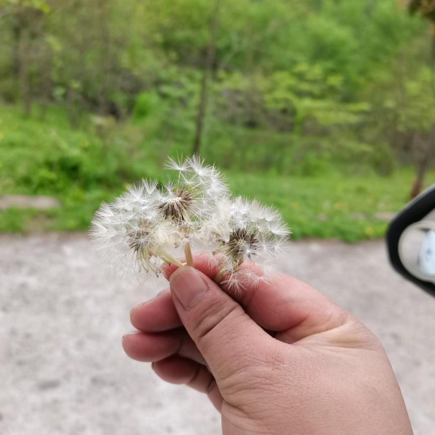 布洛芬不止痛