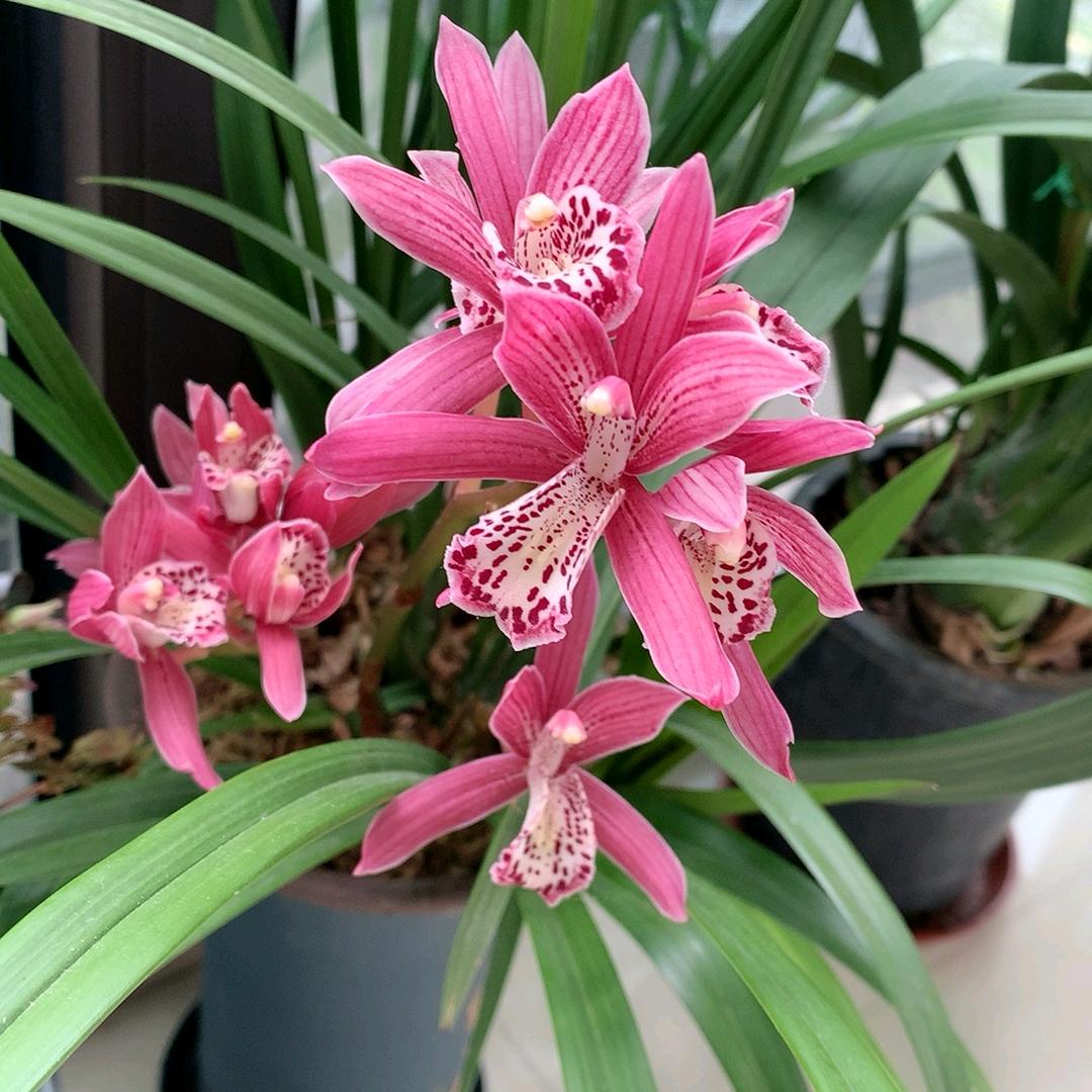 上海禹金不锈钢材料