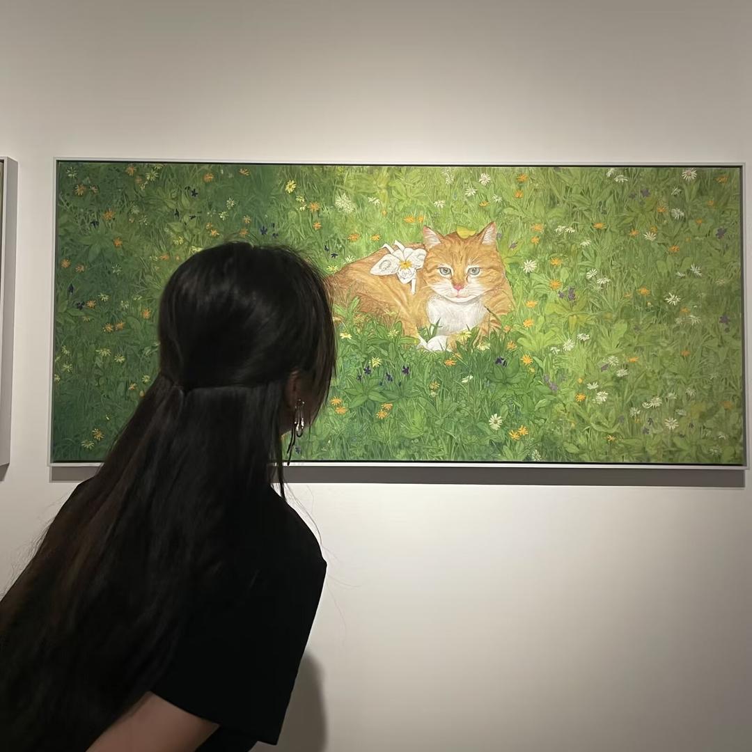 洛施ki