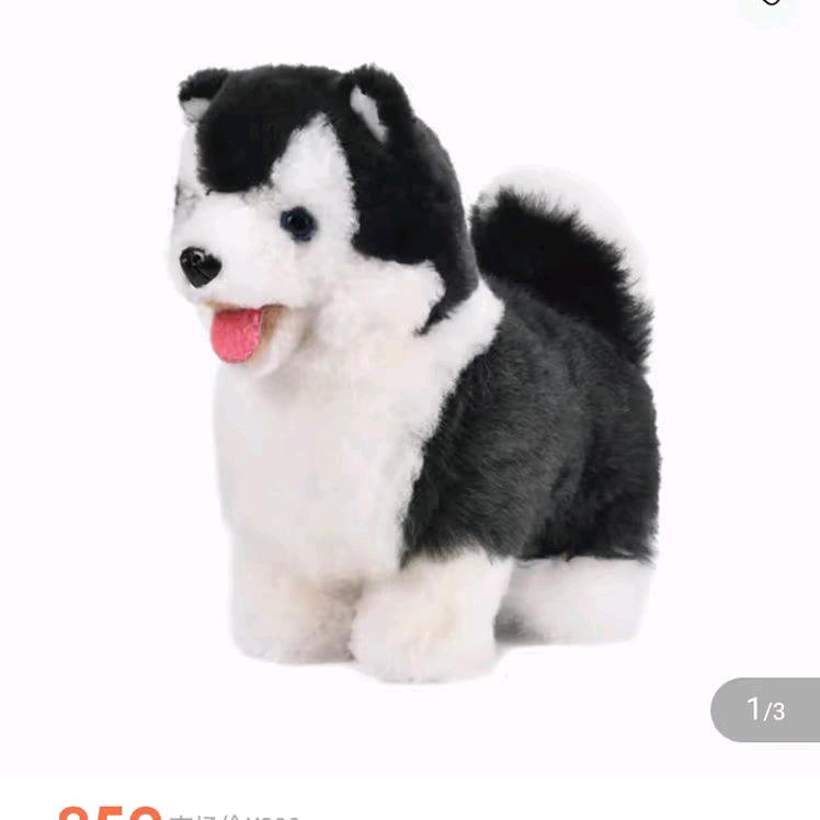 李超帅