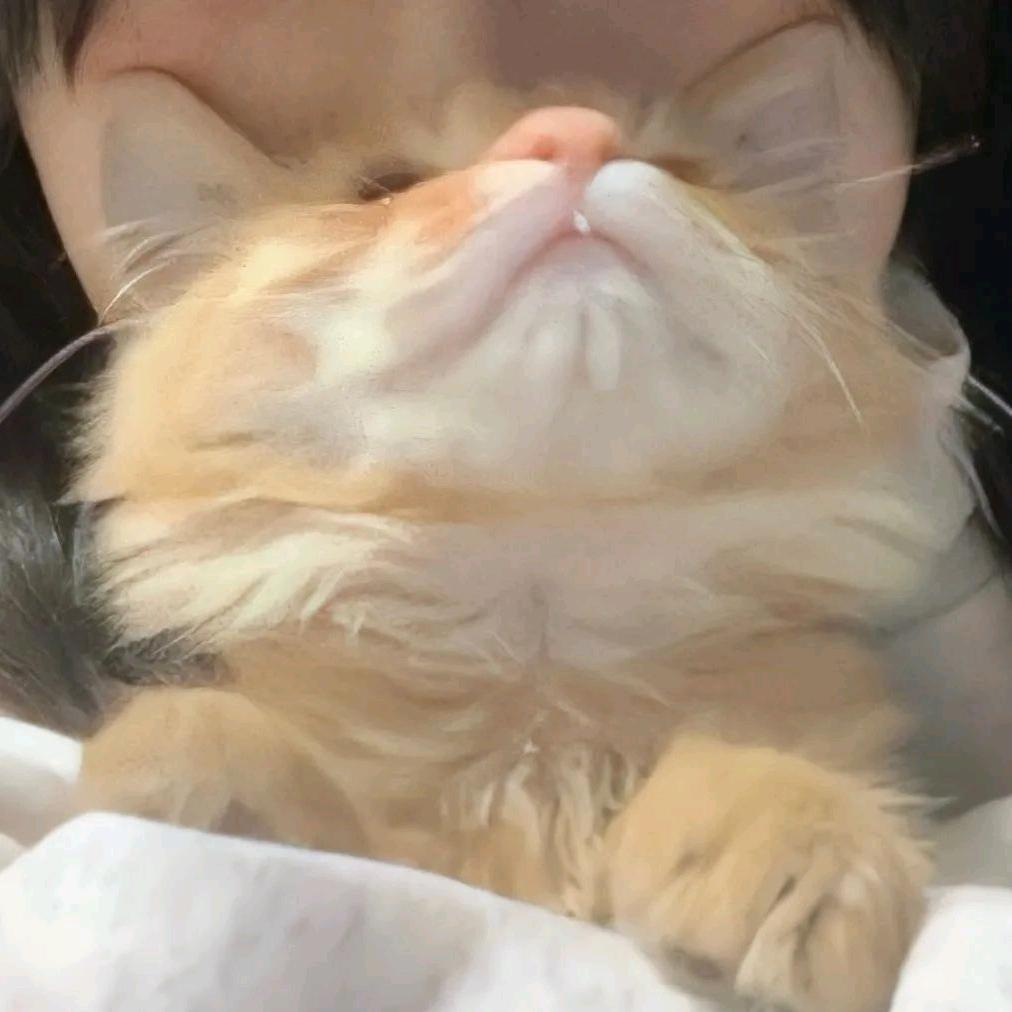 带薪破坏工作