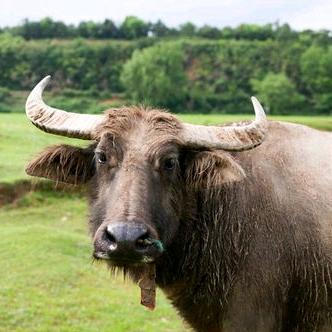 哇，迪迦奥特曼