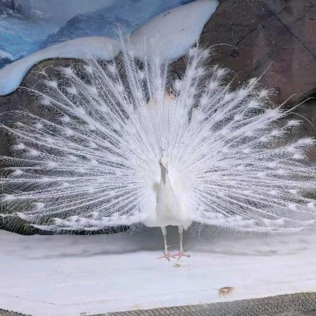 一缕阳光