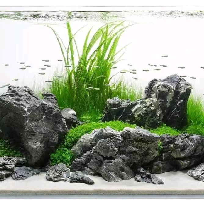 稻花落后景观