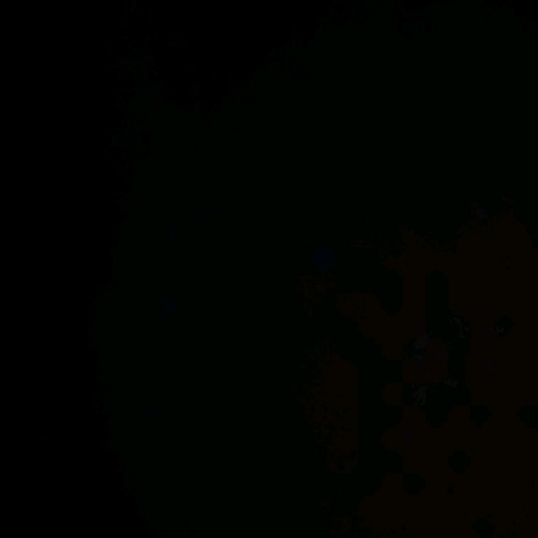 渔鸥