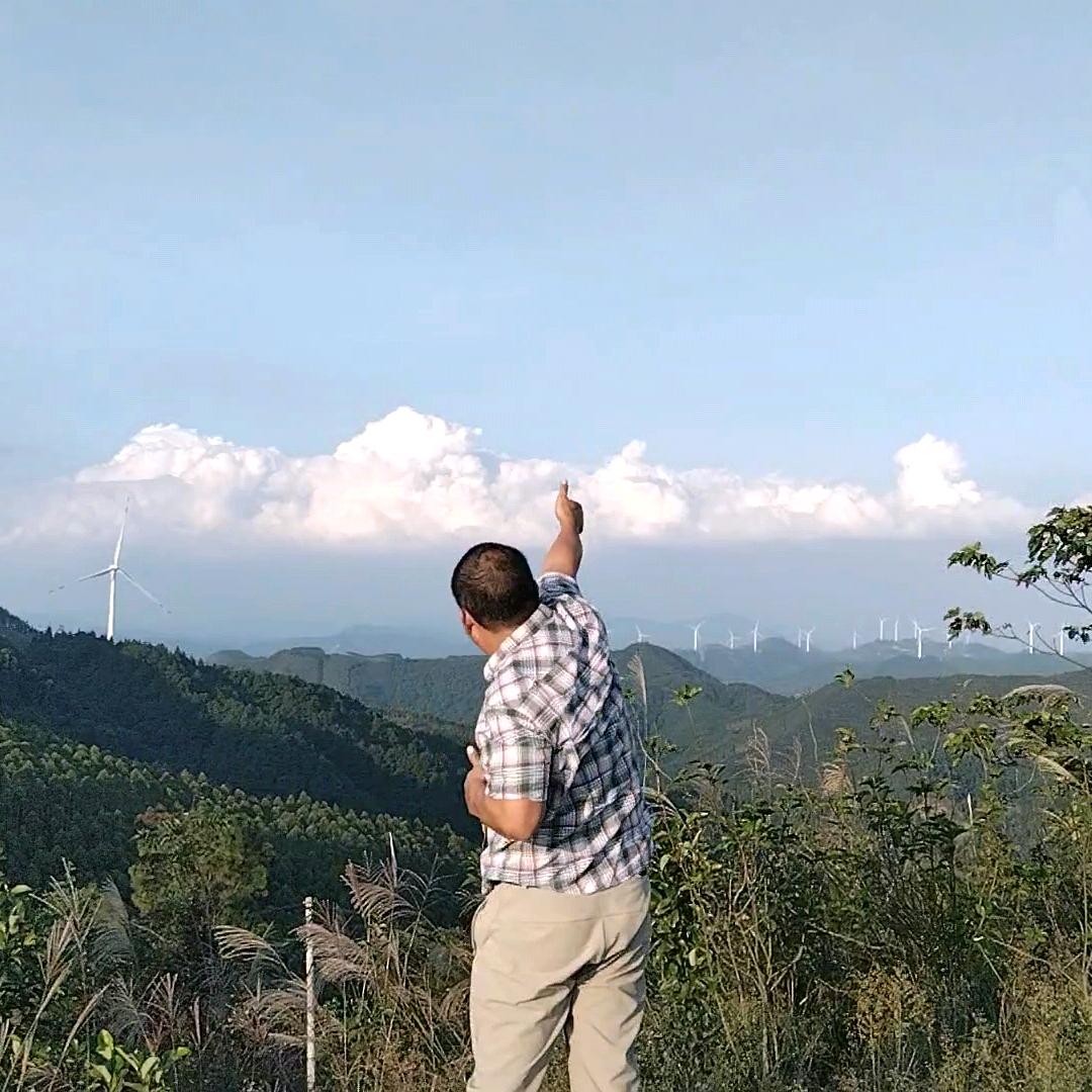 黄小蜂