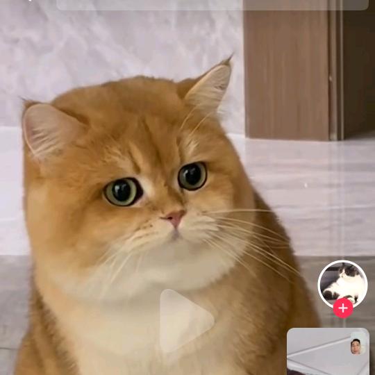 冷❄️(＞﹏＜)❄️