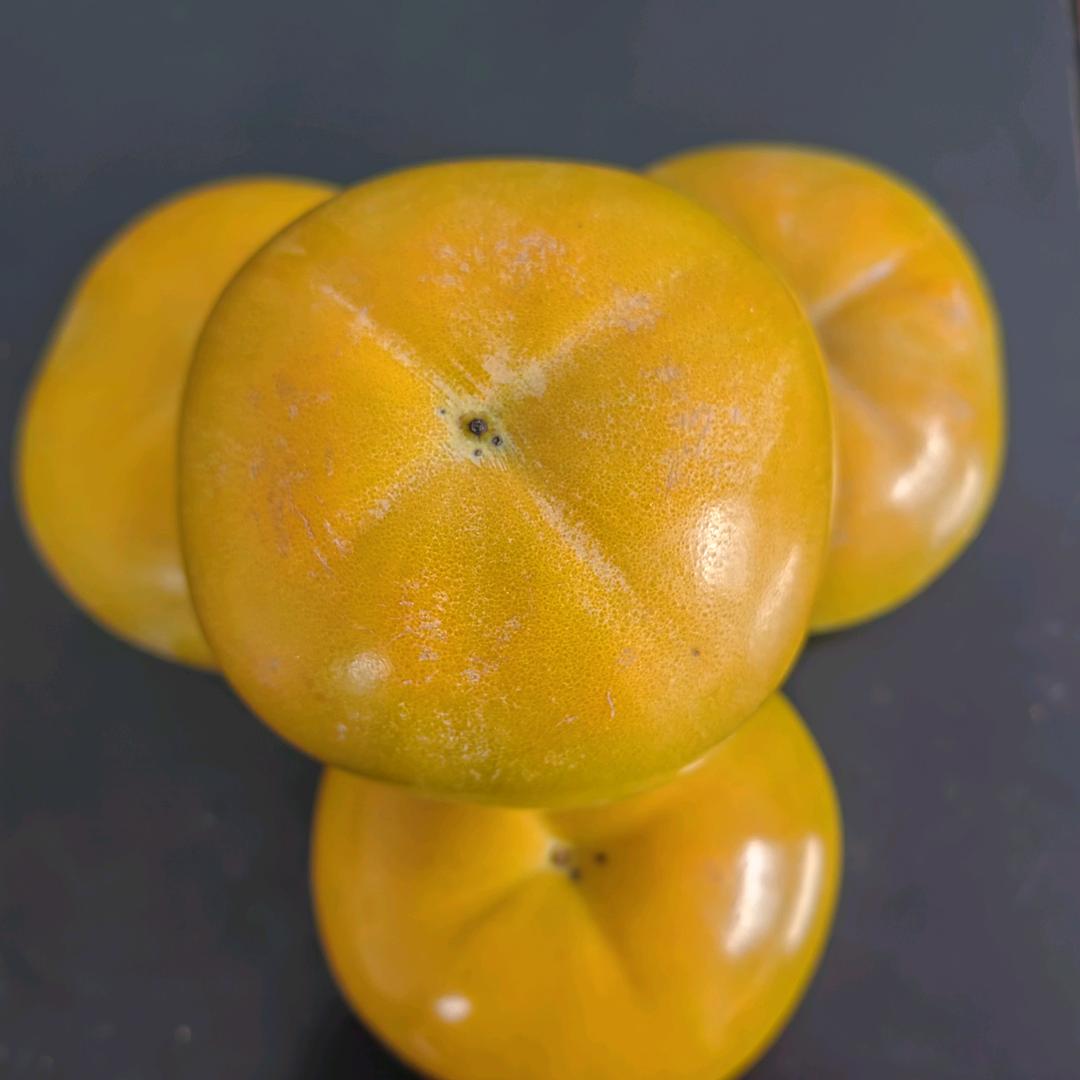 用户713504644