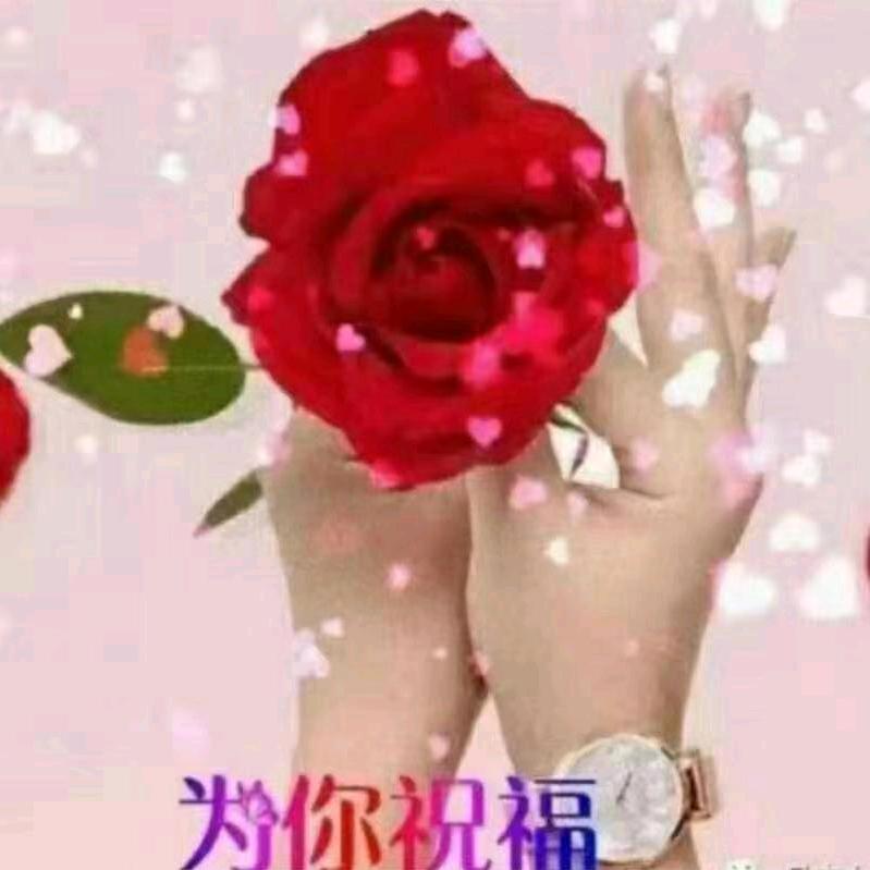 家有三宝彤萱宁