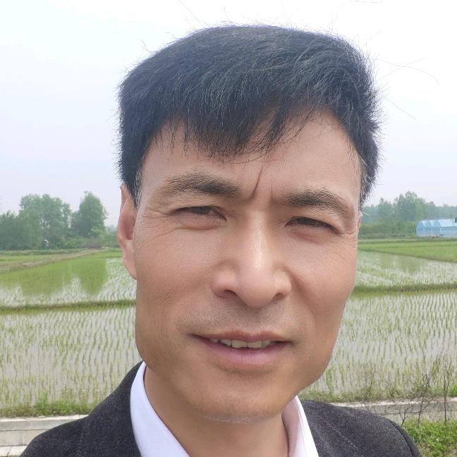 王者归来仍是我