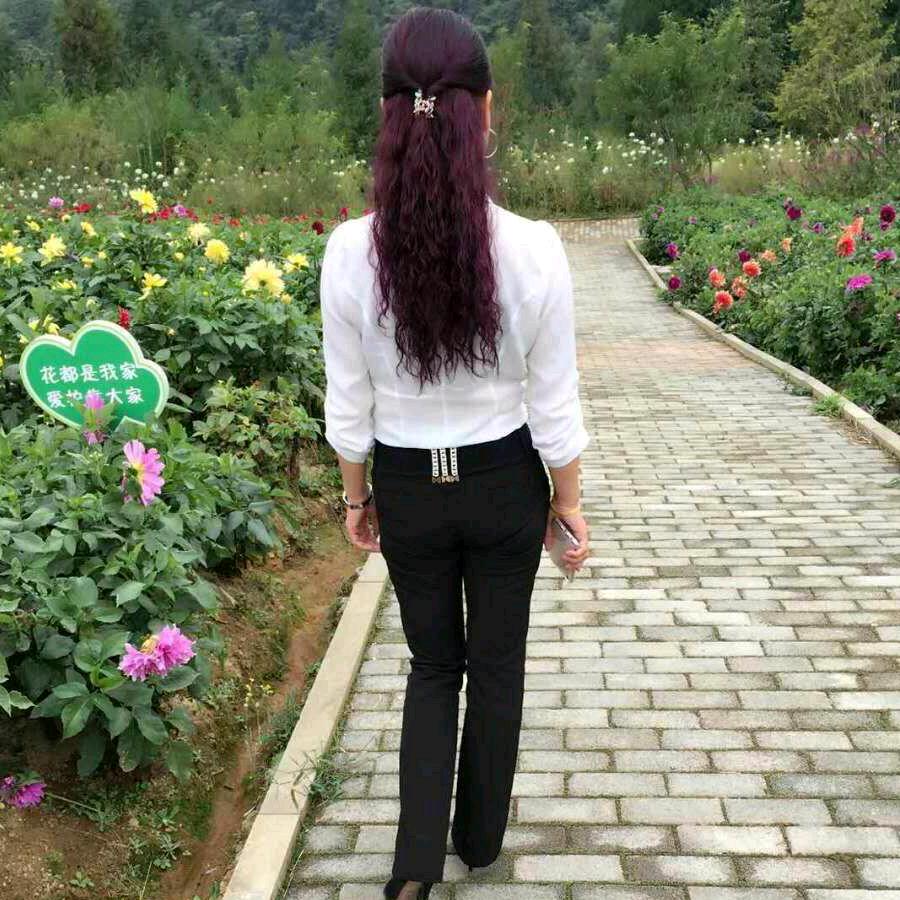 单支蝴蝶