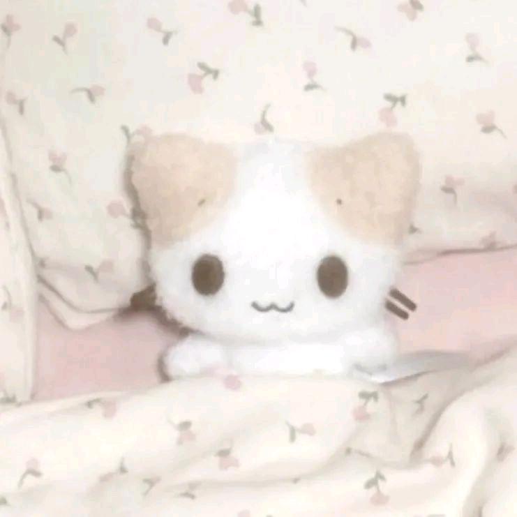 随 你