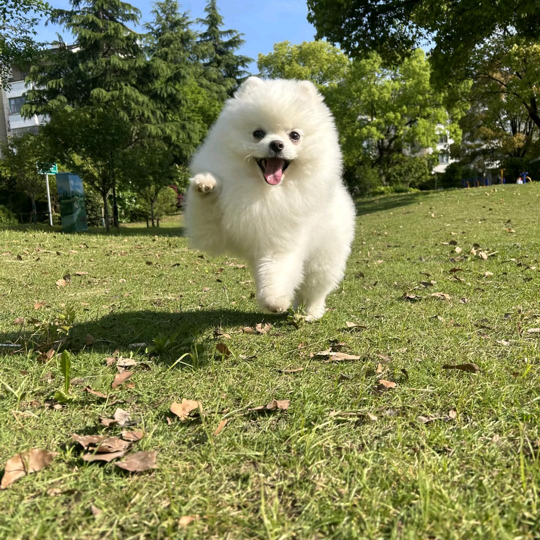 周周生活家
