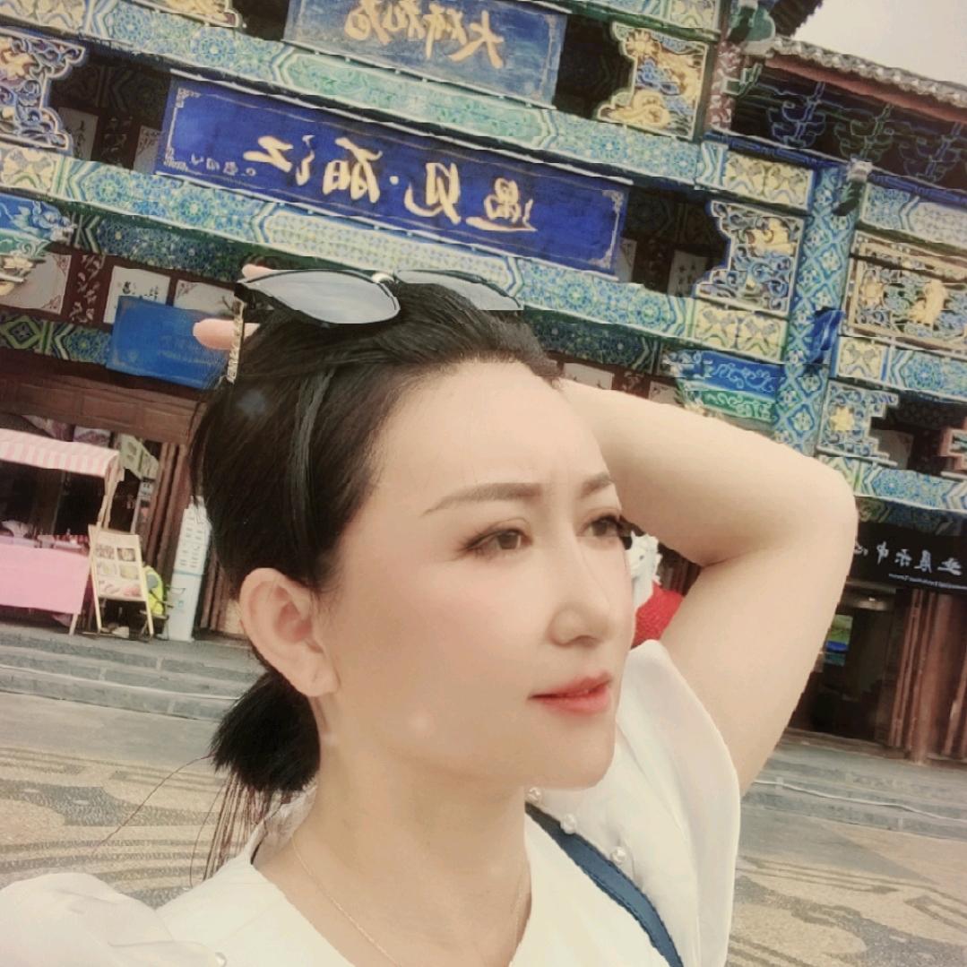 瑞小懒猪