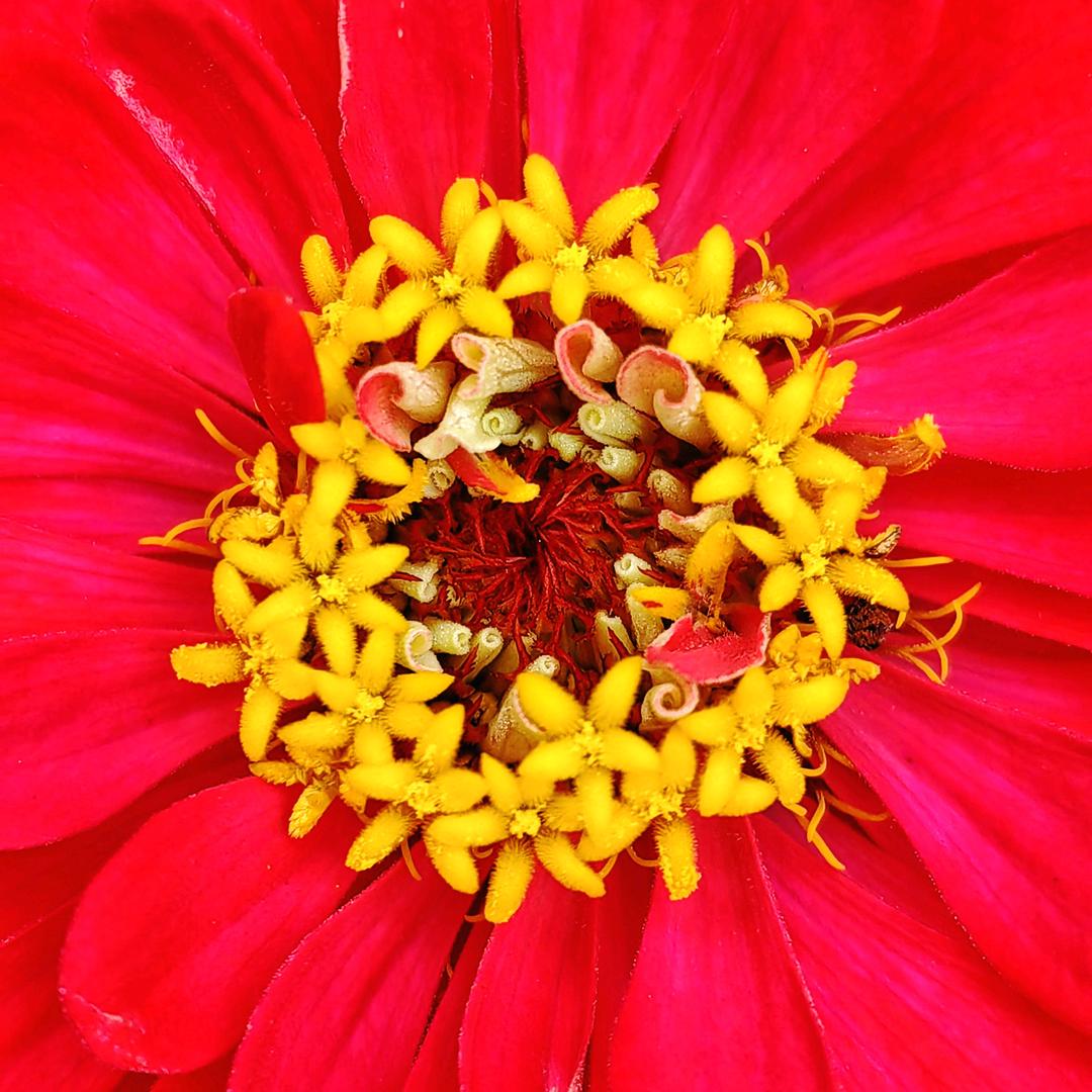 “两创”诗农张海增