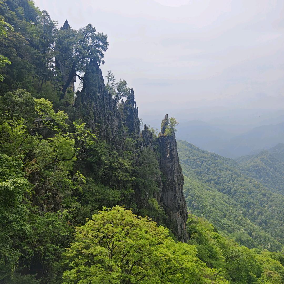 ℳঞ余生🍒随心꧔ꦿ້໌ᮨ࿐