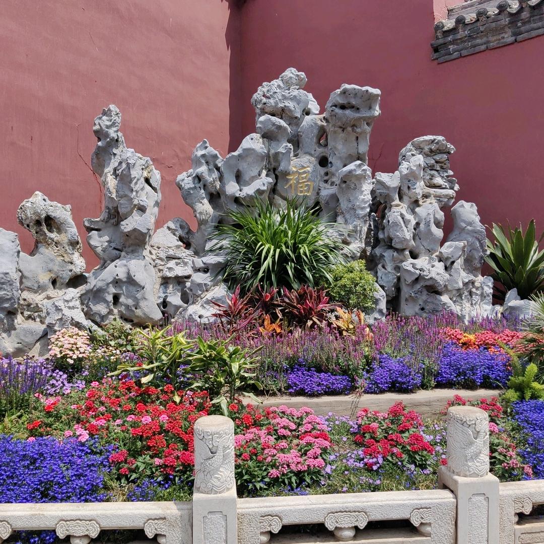 贫僧法号释劲浪