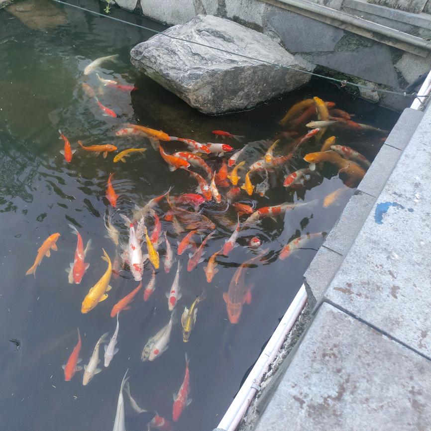 义乌市欣裕美容院